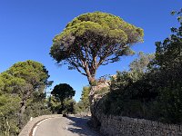 Mallorca-Spanien-Frankreich-25-0230