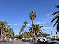 Mallorca-Spanien-Frankreich-25-0343