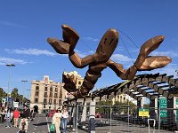 Mallorca-Spanien-Frankreich-25-0344