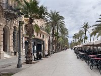 Mallorca-Spanien-Frankreich-25-0413