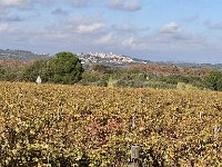 Mallorca-Spanien-Frankreich-25-0547