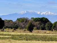 Mallorca-Spanien-Frankreich-25-0551