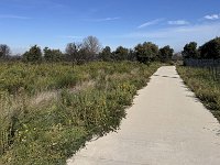 Mallorca-Spanien-Frankreich-25-0552