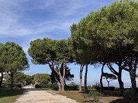 Mallorca-Spanien-Frankreich-25-0555