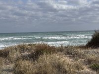 Mallorca-Spanien-Frankreich-25-0657