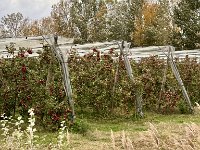 Mallorca-Spanien-Frankreich-25-0718