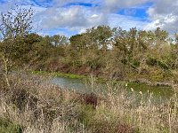 Mallorca-Spanien-Frankreich-25-0753