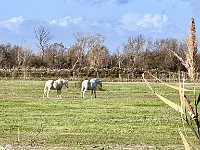 Mallorca-Spanien-Frankreich-25-0757