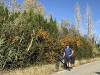 Mallorca-Spanien-Frankreich-25-0760