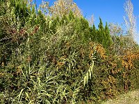 Mallorca-Spanien-Frankreich-25-0761