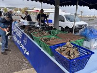 Mallorca-Spanien-Frankreich-25-0776