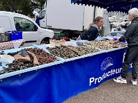 Mallorca-Spanien-Frankreich-25-0777