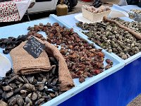 Mallorca-Spanien-Frankreich-25-0778