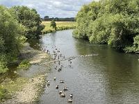 Ruhrtalradweg-077