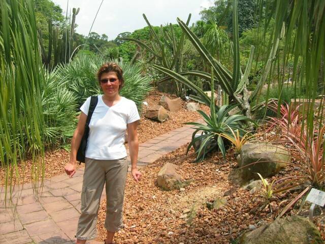 Im botanischen Garten