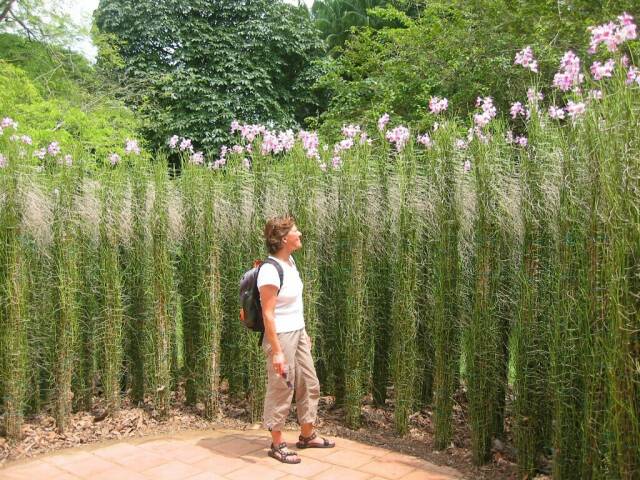 Im botanischen Garten