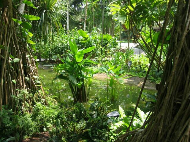 Im botanischen Garten