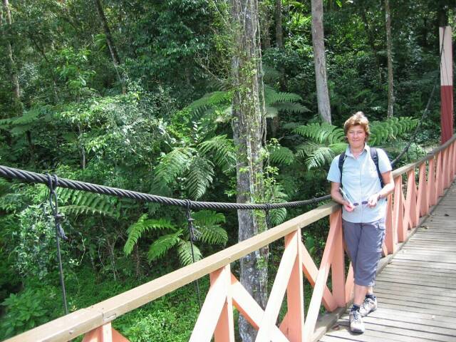 Cameron Highlands - Jungle Walk