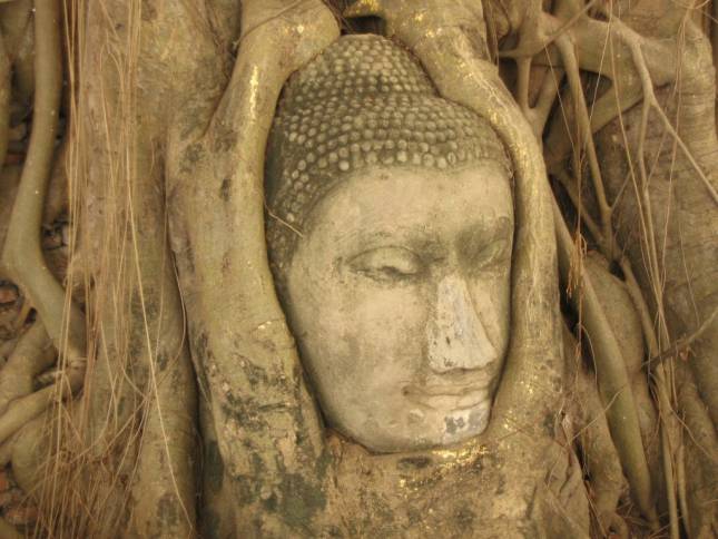 Buddha-Image im Wat Phra Mahathat