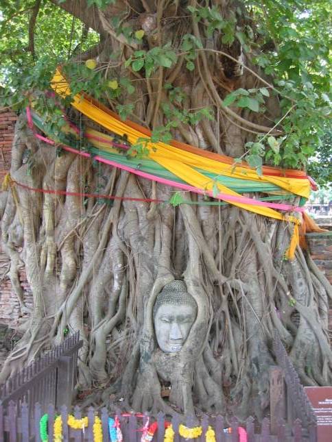0Buddha-Image im Wat Phra Mahathat