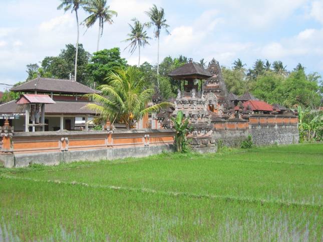<b>Tempel im Reisfeld bei Ubud</b>