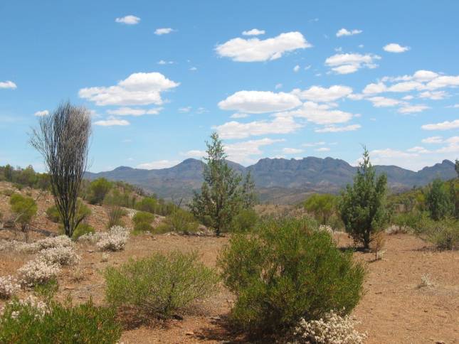 <i>Flinders-Range</i>