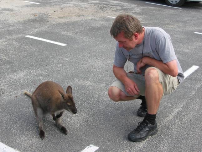 <i>Wallaby (kl. Knguru) und Bernd</i>