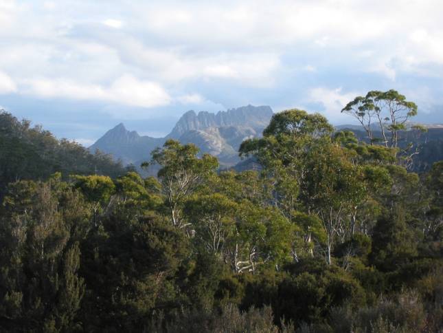 <i>Cradle Mountain National Park</i>