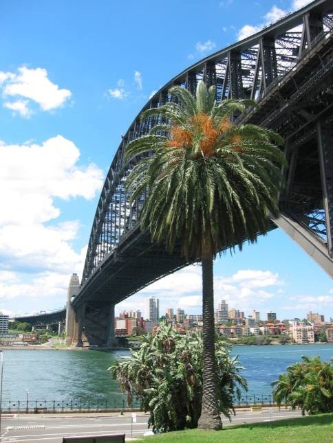 <i><b>Sydney Harbour Bridge</b></i>