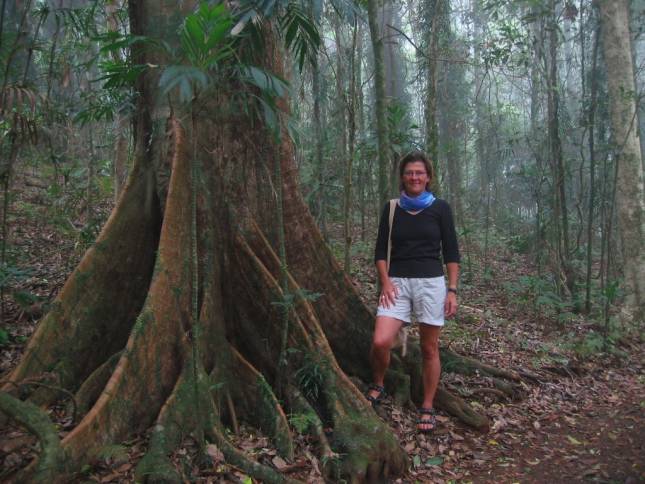 <i><b>Dorrigo National Park</b></i>