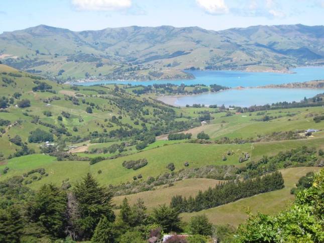 <i>Akaroa-Peninsula</i>