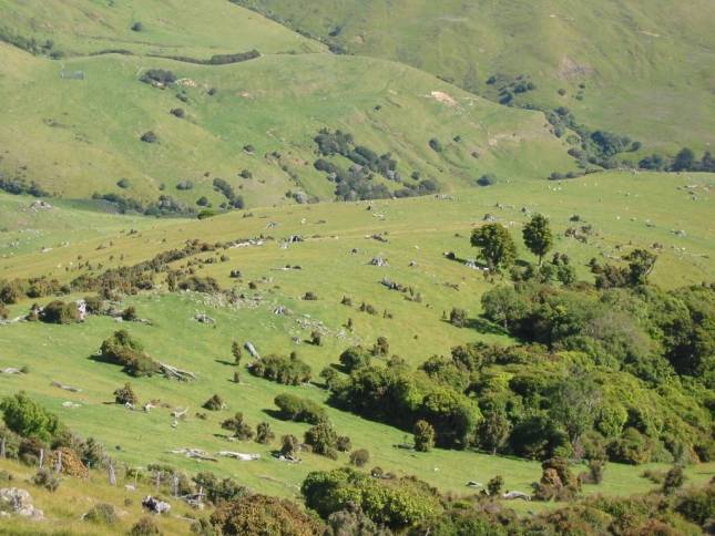 <i>Akaroa-Peninsula</i>