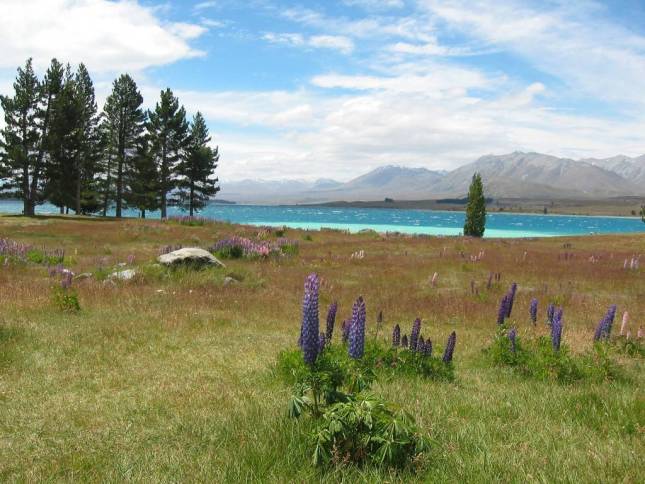 <i>Lake Tekapo im Landesinneren</i>