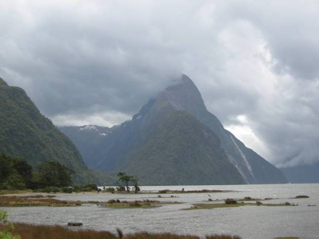 <i>Milford Sound</i>