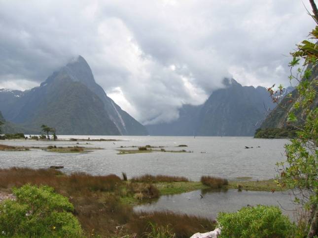 <i>Milford Sound</i>