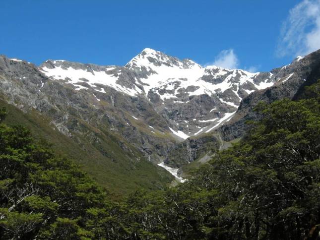 <i>Blick auf Mt Rolleston - 2250m</i>