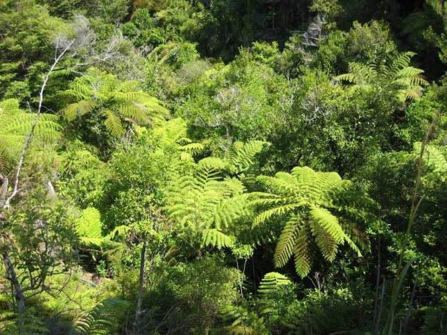 <i>Abel-Tasman-Wanderung</i>