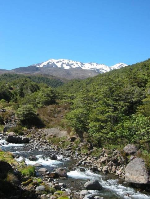 <i>Mount Ruapehu</i>