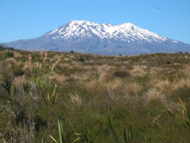 <i>Mount Ruapehu</i>