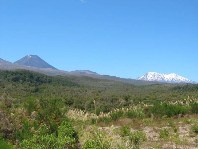 <i>Ngauruhu  und Ruapehu</i>