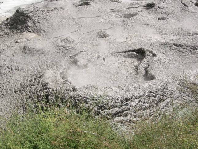 <i>Am Mudpool (Schlammloch)</i>