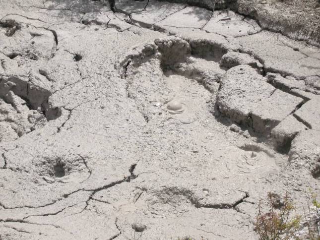 <i>Te Whakarewarewa Therma Zone</i>