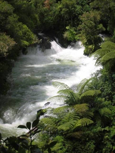 <i>Okere Falls</i>