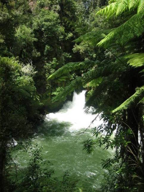 <i>Okere Falls</i>