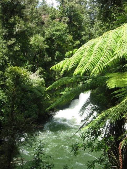 <i>Okere Falls</i>