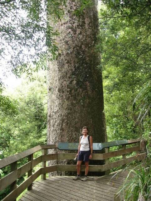 <i>Wanderung zum Sentinel Rock</i>