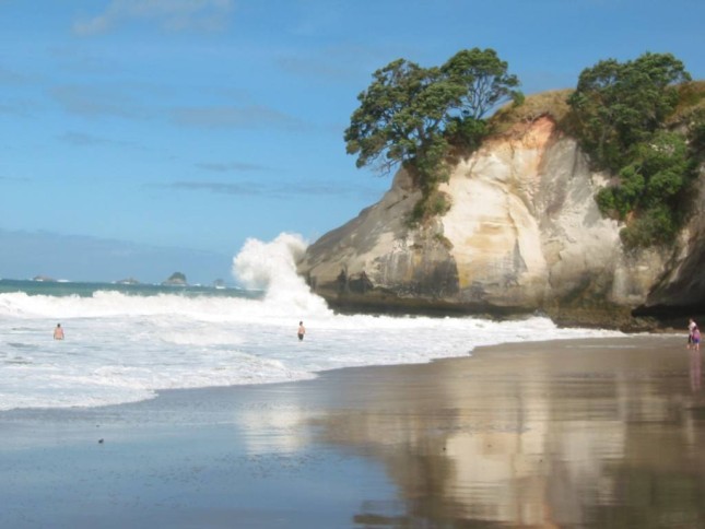 <i>Cathedral Cove</i>