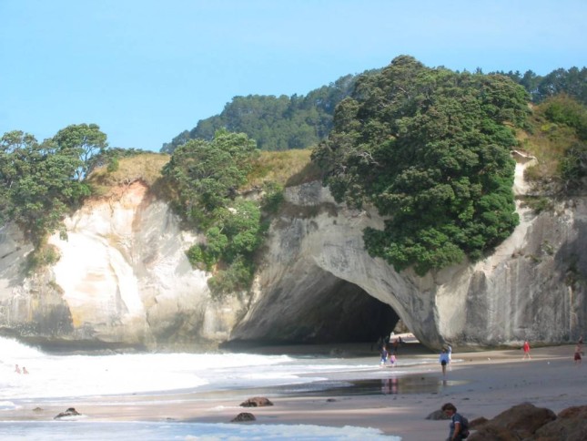 <i>Cathedral Cove</i>