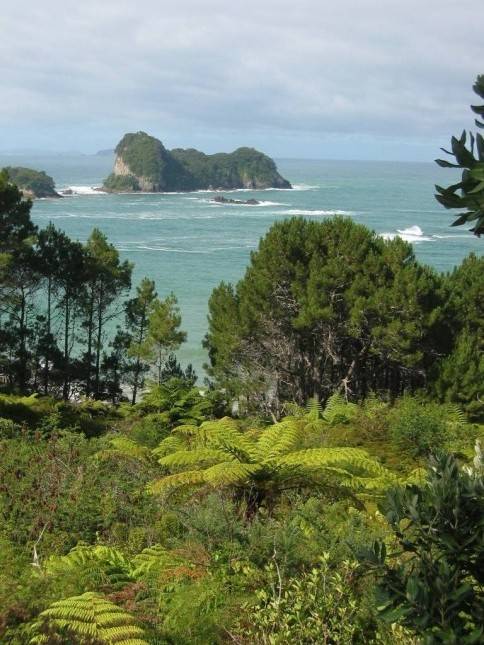 <i>Cathedral Cove</i>