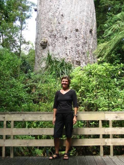 <i>Tane Mahuta - grter Baum in Neuseeland</i>